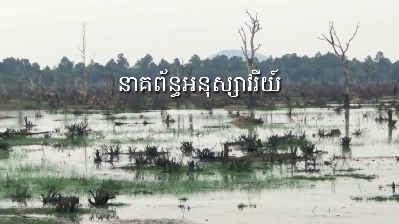 នាគព័ន្ធអនុស្សាវរីយ៍