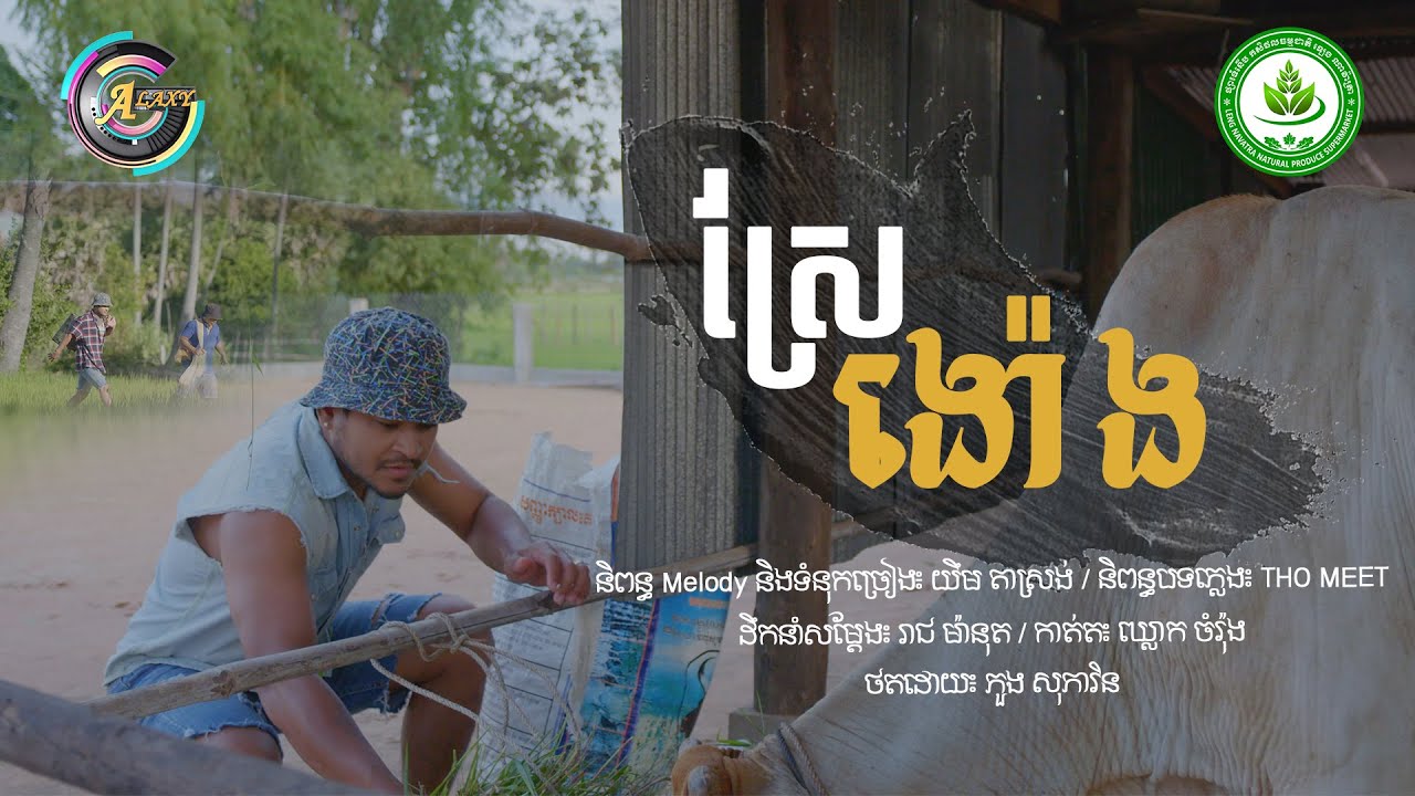 ស្រែង៉ោង