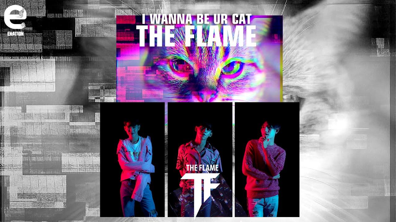I wanna be ur cat