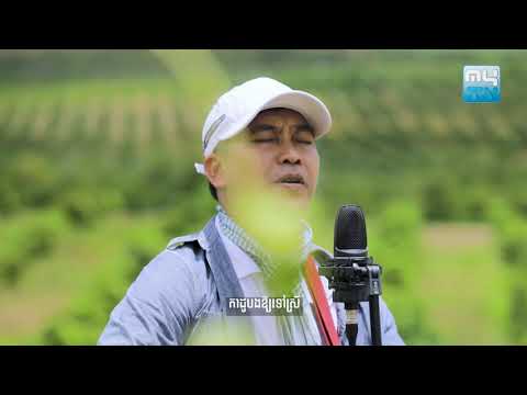 កាដូគ្មានន័យ